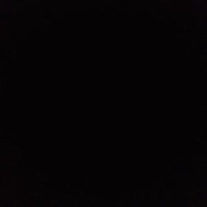 Meet your Posher, Troy